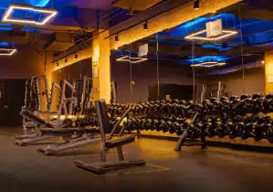 Imagem de Peso Libre e integrado