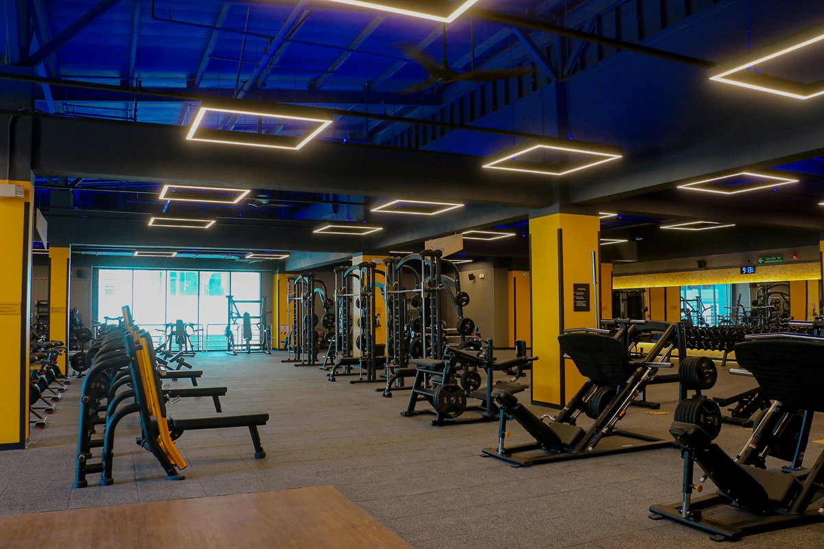 Imagem de Zonas de cardio y musculación