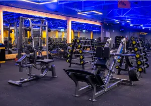 Imagem de Zonas de cardio y musculación